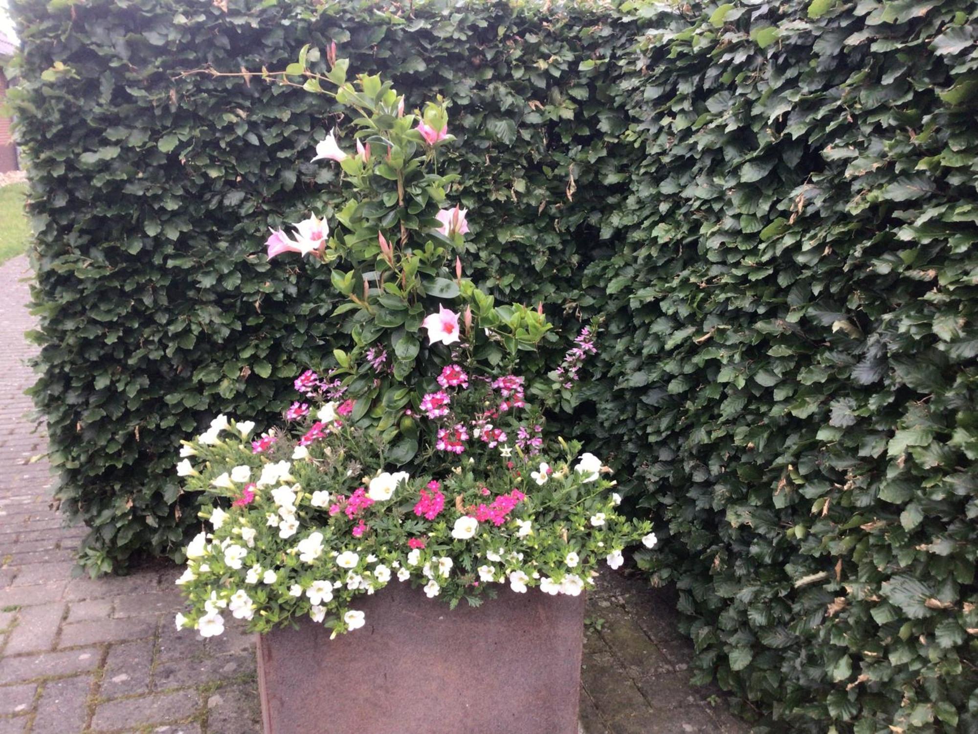 B&B De Veluwe Hoeve 어비크 외부 사진